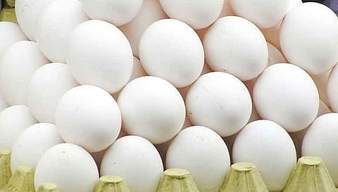 நாமக்கல் மண்டலத்தில் இருந்து வெளிநாடுகளுக்கு 40 லட்சம் முட்டைகள் ஏற்றுமதி