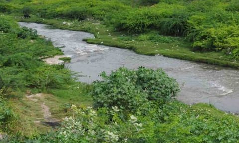 கோப்புபடம். 