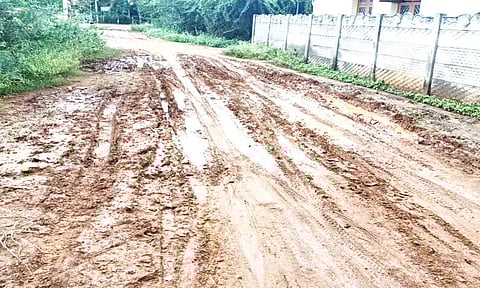 செண்பகத்தோப்பு அணை சாலை சேறும், சகதியுமாக அவலம்