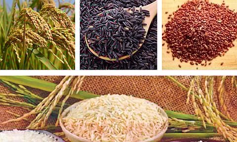 வேளாண் விளைபொருட்கள் மதிப்பு கூட்டுதல் பயிற்சி