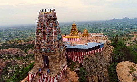 சோளிங்கர் லட்சுமி நரசிம்மர் கோவிலில் எரும்பியப்பா சாற்றுமுறை உற்சவம்