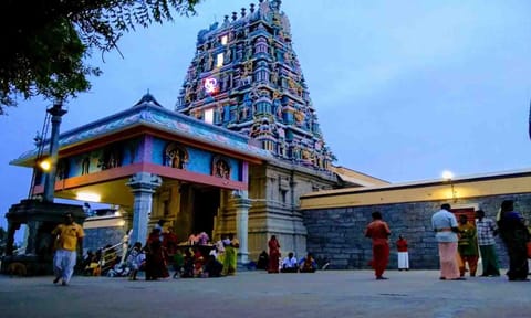கோப்புபடம்.