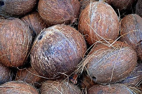 ரூ.5¾ லட்சத்துக்கு தேங்காய் ஏலம்