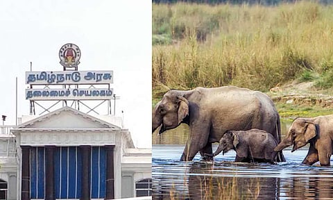 (கோப்பு படம்)