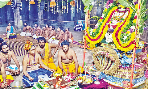 குடமுழுக்கு நடந்து ஒரு ஆண்டு நிறைவு: நாகநாதர் கோவிலில் யாகசாலை பூஜை