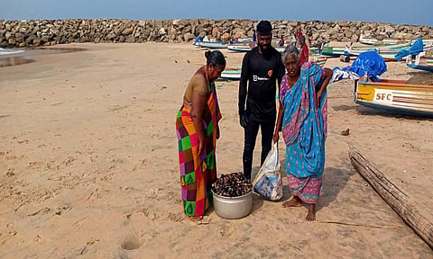 குமரியில் சிப்பி மீன் எடுக்கும் மீனவர்கள்