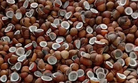கோப்புபடம். 