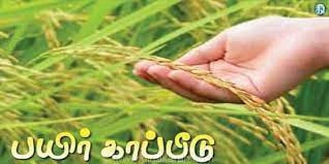 சம்பா நெல் பயிர் காப்பீடு செய்ய 15-ந் தேதி கடைசி நாள்