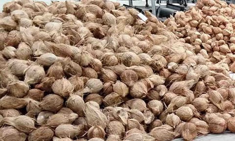 கோப்புபடம். 