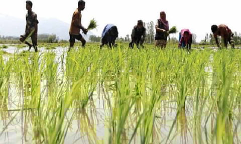 கோப்புபடம். 