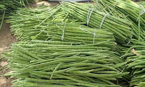 கோப்புபடம். 