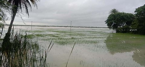 வடலூர் அருகே 500 ஏக்கர் விளைநிலத்தில் வெள்ளநீர் புகுந்தது