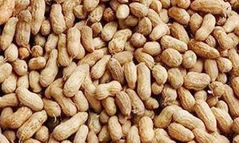 கோப்புபடம். 