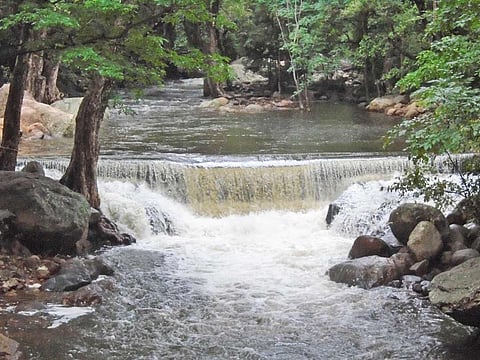 களக்காடு தலையணையில் ஆர்ப்பரித்து கொட்டும் தண்ணீர்.