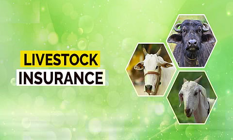 கோப்பு படம்