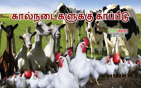 தேசிய காப்பீடு திட்டத்தின் கீழ் விவசாயிகள் கால்நடைகளை காப்பீடு செய்யலாம்