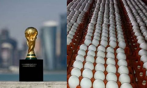 உலக கோப்பை கால்பந்து எதிரொலி- நாமக்கல்லில் இருந்து முட்டை ஏற்றுமதி 4 கோடியாக அதிகரிப்பு