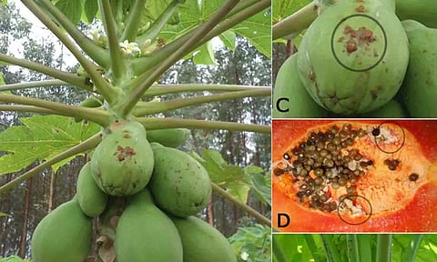 கோப்புபடம்.