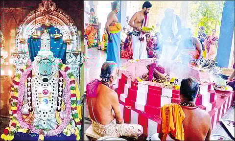 திருப்பத்தூர் திருத்தளிநாதர் கோவிலில் சம்பக சஷ்டி விழா