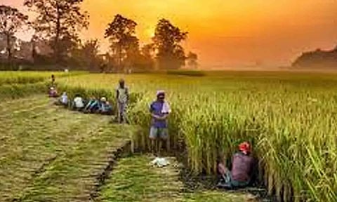 கோப்புபடம்.