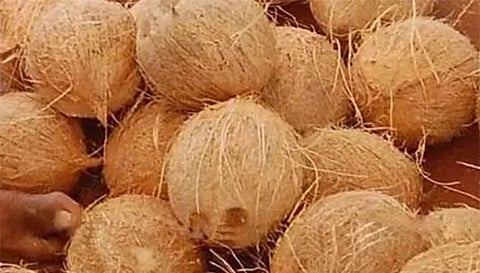 சேலத்தில் தேங்காய் விற்பனை அதிகரிப்பு