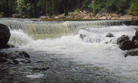 களக்காடு தலையணையில் நீர்வரத்து அதிகரித்திருப்பதை காணலாம்.