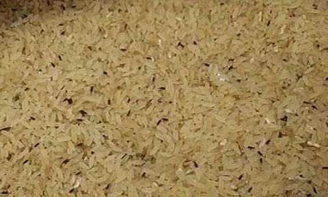 கோப்பு படம் 