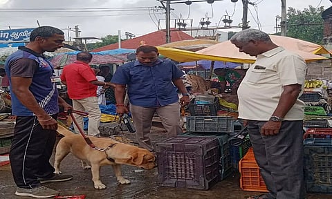 கடலூர் திருப்பாதிரிப்புலியூர் பஸ் நிலையத்தில் வெடிகுண்டு நிபுணர்கள் மோப்ப நாயுடன் தீவிர சோதனையில் ஈடுபட்டனர்.