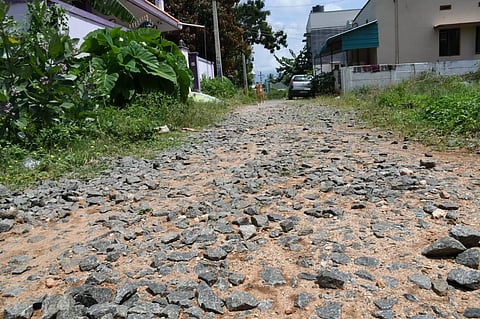 குண்டும், குழியுமாக காணப்படும் பிளிச்சி ஊராட்சி சாலைகள்