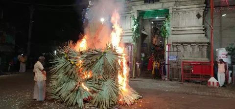 கார்த்திகை திருவிழாவில் சொக்கப்பனை எரிப்பு
