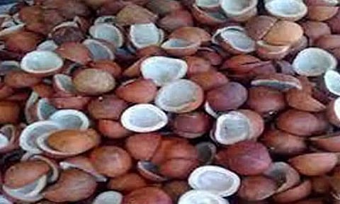 தொடர் மழையால் கொப்பரை உற்பத்தி பாதிப்பு