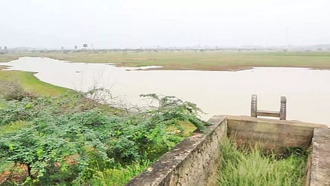 பண்டார பெருங்குளத்தின் மறுகால் மற்றும் மதகுகள் உடைந்து முட்புதர்கள் மண்டி கிடக்கும் காட்சி.