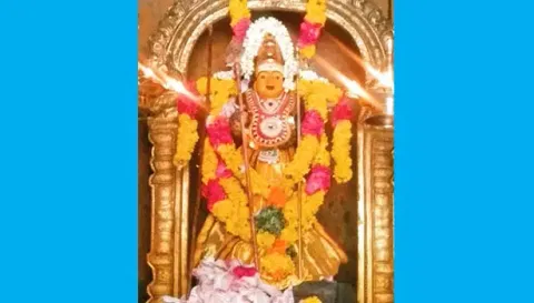 விஷேச அலங்காரத்தில் முருகன்