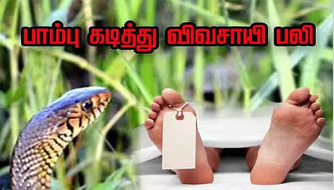 பாம்பு கடித்து விவசாயி சாவு