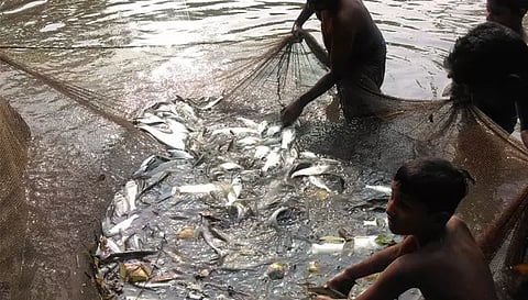 மீன் பிடிக்க ரூ. 3 லட்சத்திற்கு ஏலம்