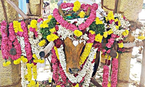 இறந்த ஜல்லிக்கட்டு காளைக்கு கிராம மக்கள் அஞ்சலி