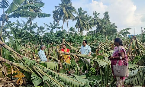 ஆந்திராவில் மாண்டஸ் புயலால் ரூ.226 கோடிக்கு இழப்பு ஏற்பட்டுள்ளது