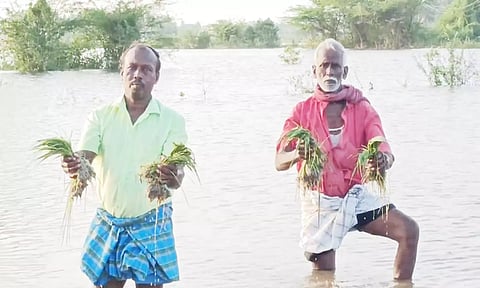 சேதமடைந்த பயிர்களுடன் விவசாயிகள்.