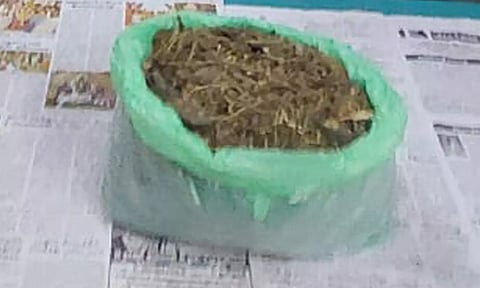 குடியாத்தத்தில் பிடிபட்ட கஞ்சா வியாபாரி.