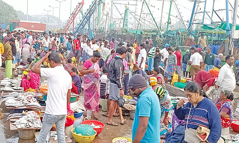 மீன் வாங்க குவிந்த மக்களை படத்தில் காணலாம்.
