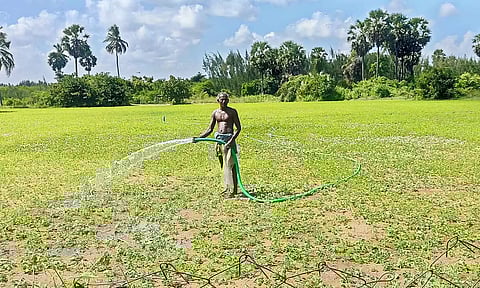 தண்ணீர் இறைக்கும் பணியில் ஈடுபட்டுள்ள விவசாயி.