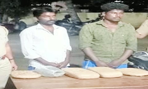 கைது செய்யப்பட்டவர்களை படத்தில் காணலாம்.