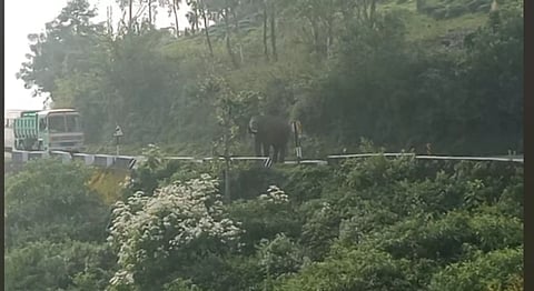 மேட்டுப்பாளையம்-கோத்தகிரி சாலையில் அரசு பஸ், லாரியை மறித்த ஒற்றை காட்டு யானை