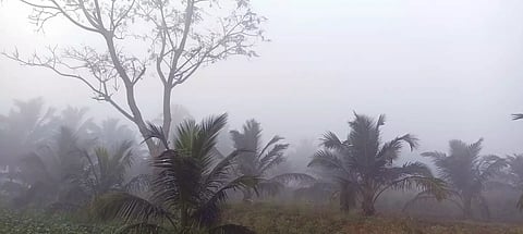 பகலில் வெயில், இரவில் குளிரால் பொதுமக்கள் கடும் அவதி