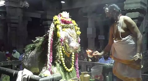 கல்யாண பசுபதீஸ்வரர் கோவிலில் பிரதோஷ விழா