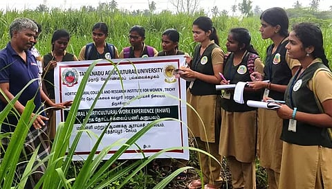 இயற்கை பண்ணை விவசாயம் குறித்து மாணவிகள் பயிற்சி பெற்றபோது எடுத்த படம்.