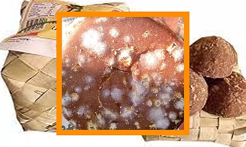 பூஞ்சை படிந்த கருப்பட்டி.