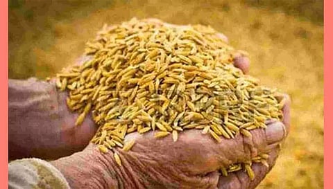 விவசாயிகள் கூடுதல் லாபம் பெறலாம்