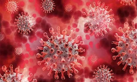 கோப்பு படம் 