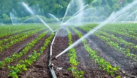 75 சதவீதம் மானியத்தில் சொட்டு நீர் பாசனம்